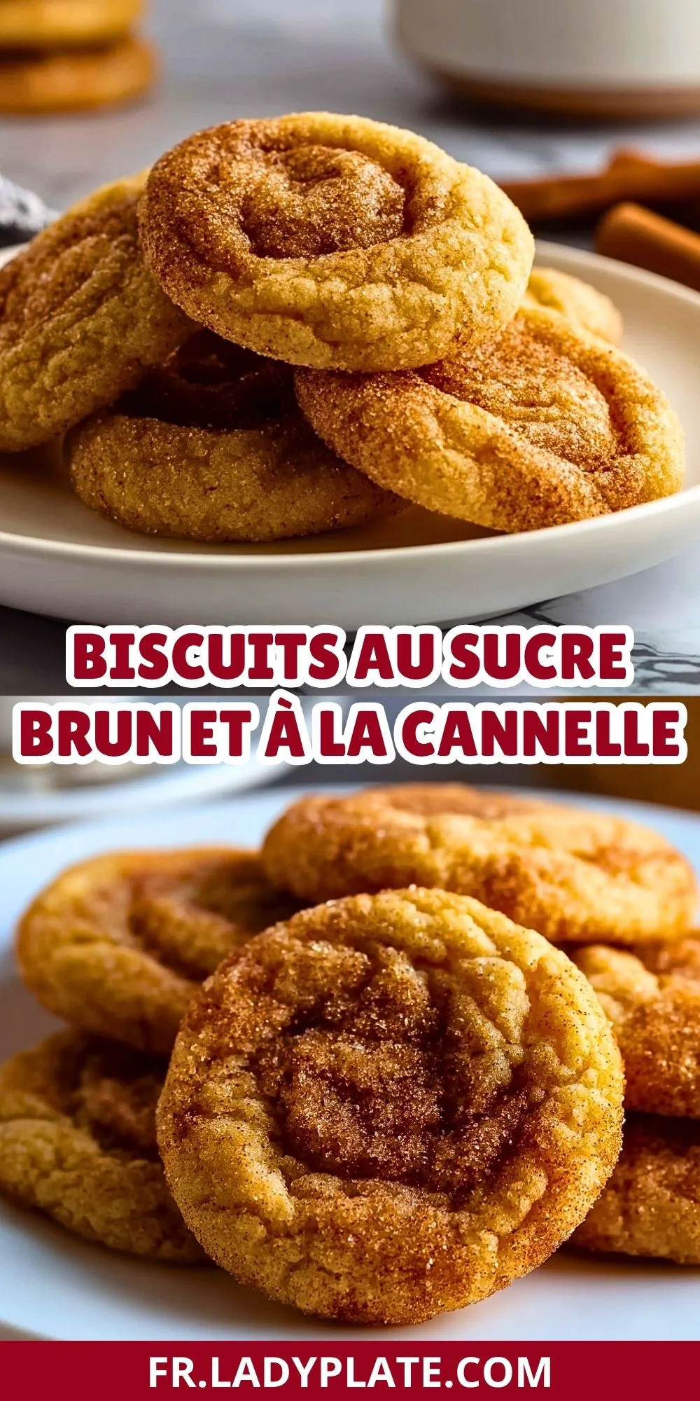 Biscuits Au Sucre Brun Et À La Cannelle (2)
