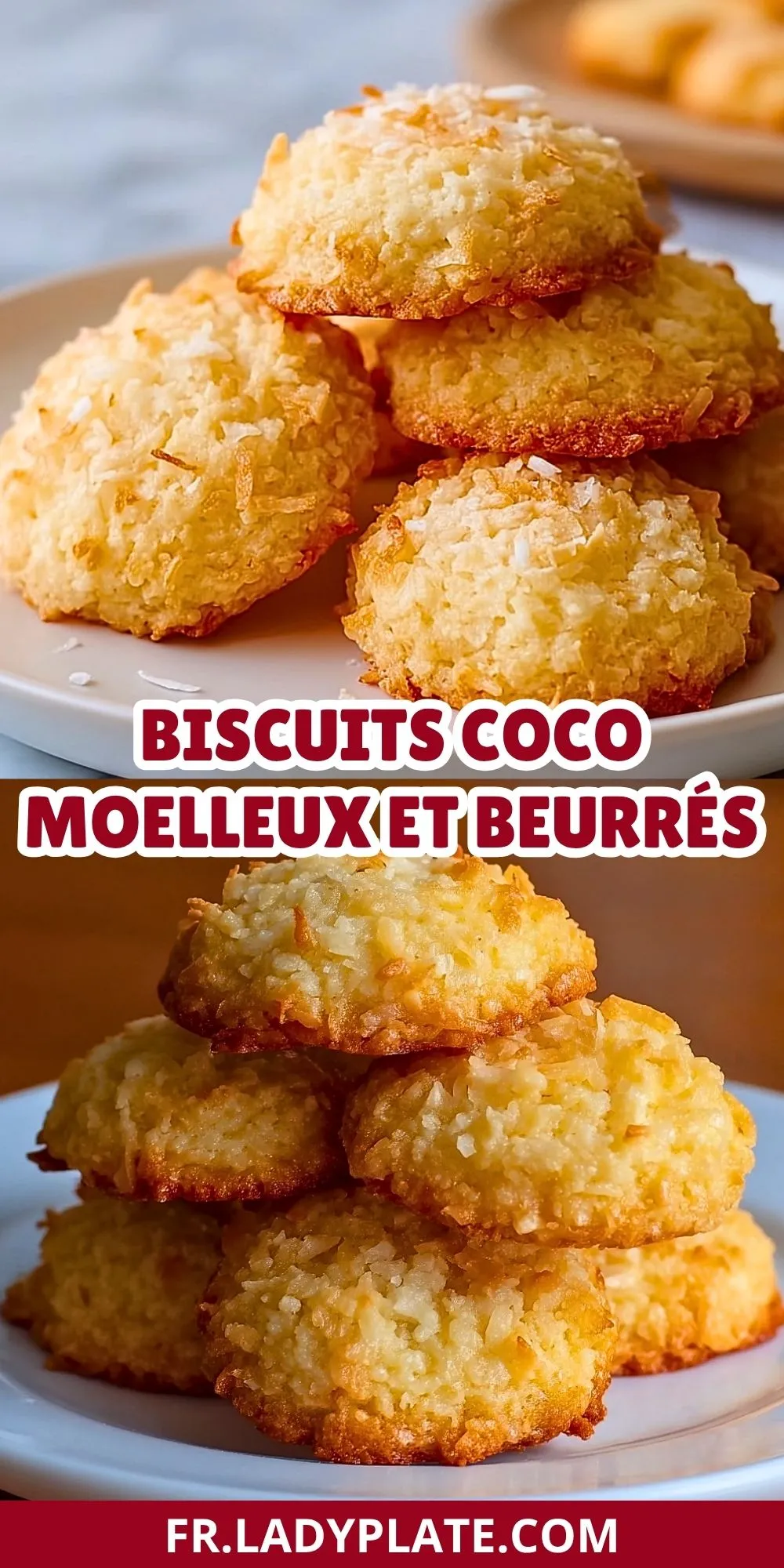Biscuits Coco Moelleux et Beurrés (2)
