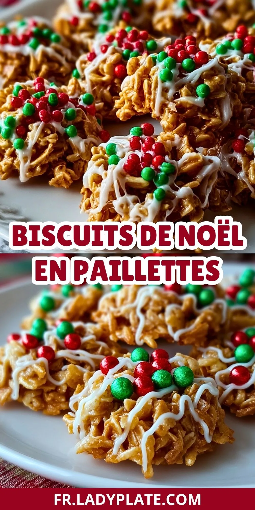Biscuits de Noël en Paillettes (2)