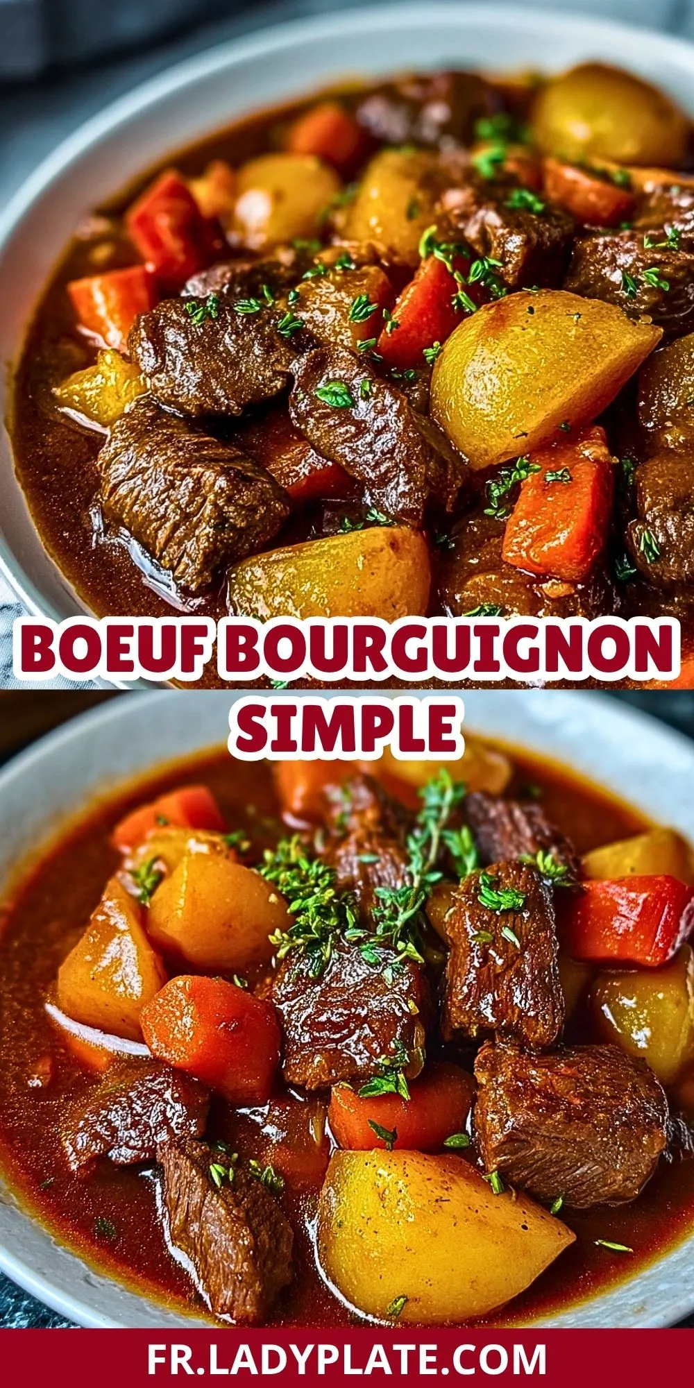 Boeuf Bourguignon Simple (2)