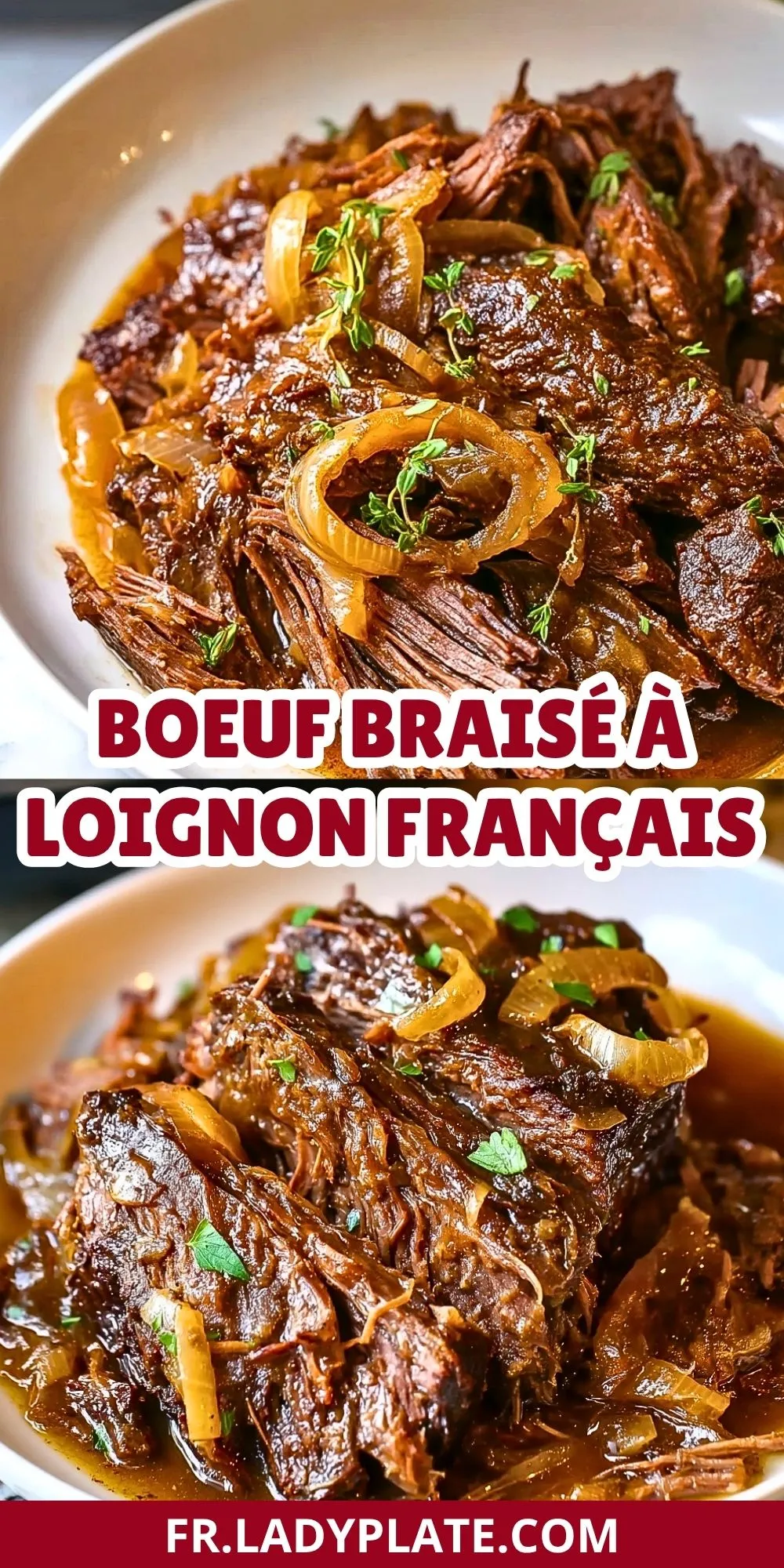 Boeuf Braisé À LOignon Français (2)