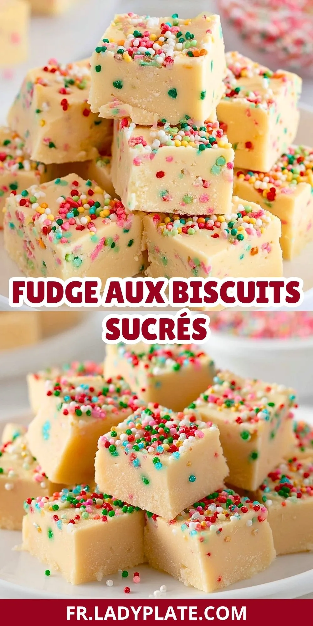 Fudge Aux Biscuits Sucrés (2)