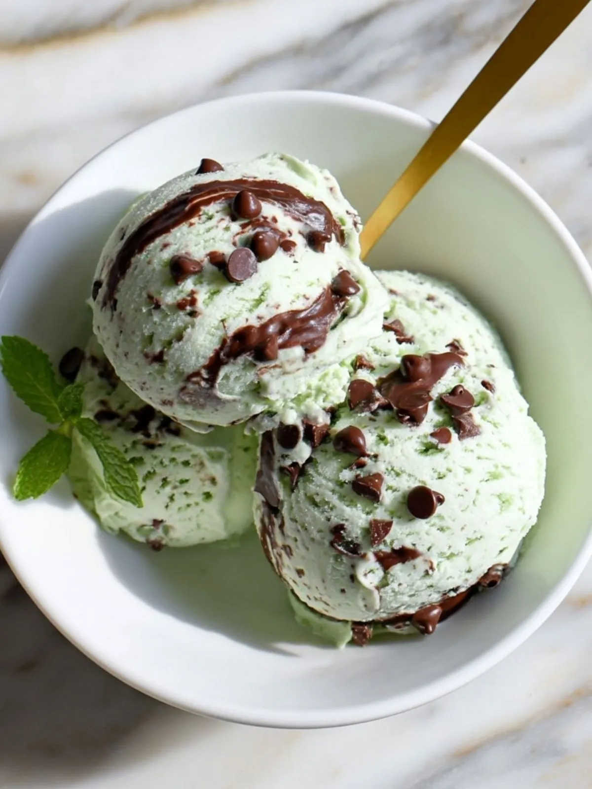 Glace Protéinée à la Menthe et Pépites de Chocolat (1)