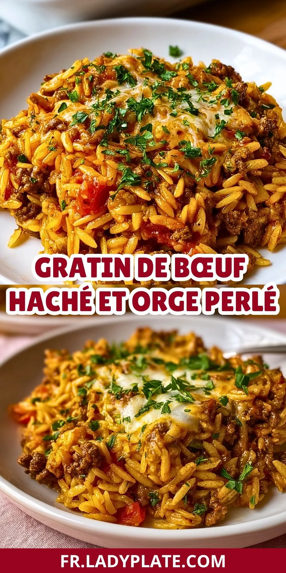 Gratin De Bœuf Haché Et Orge Perlé (2)