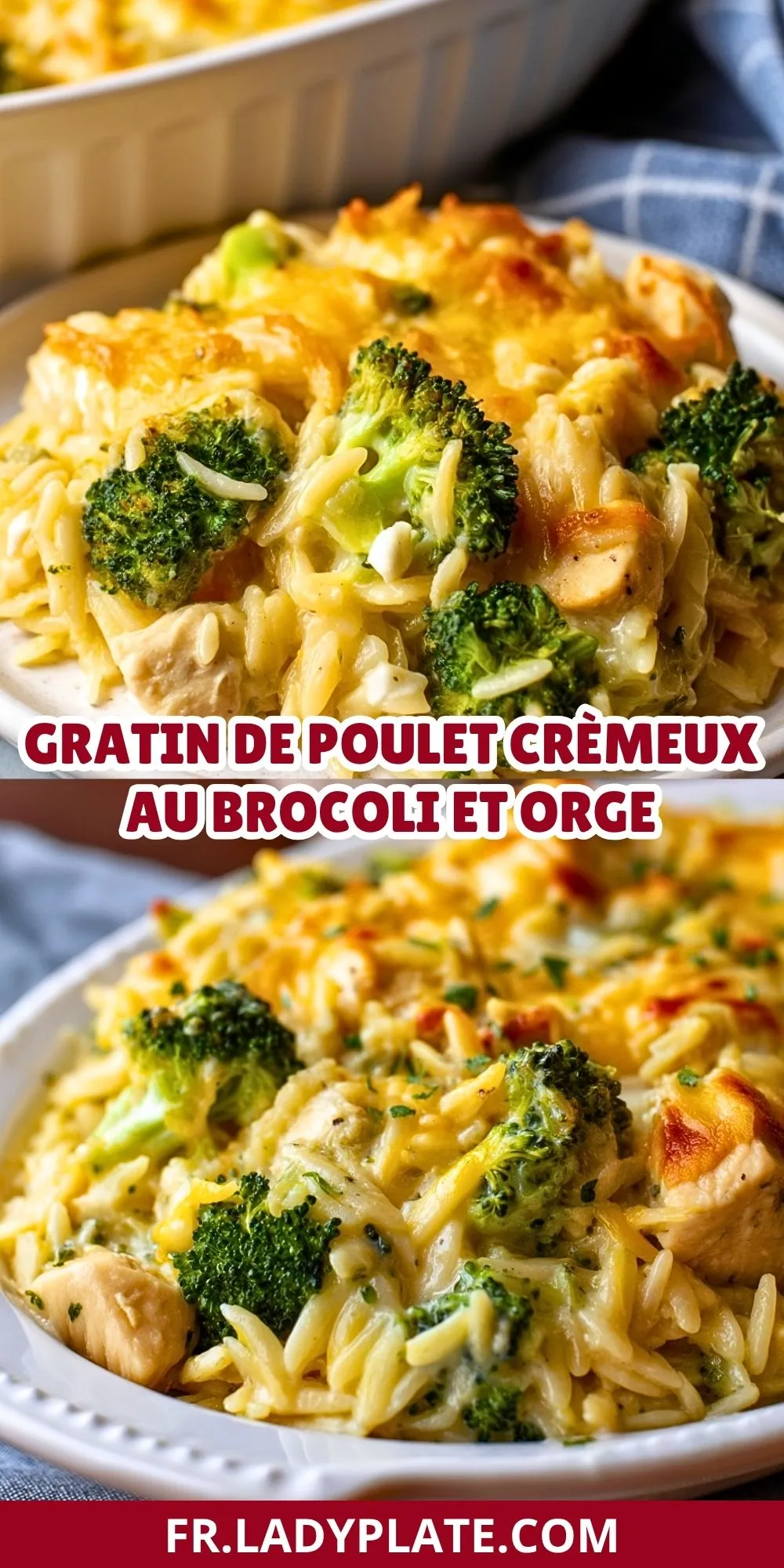 Gratin De Poulet Crèmeux Au Brocoli Et Orge (2)