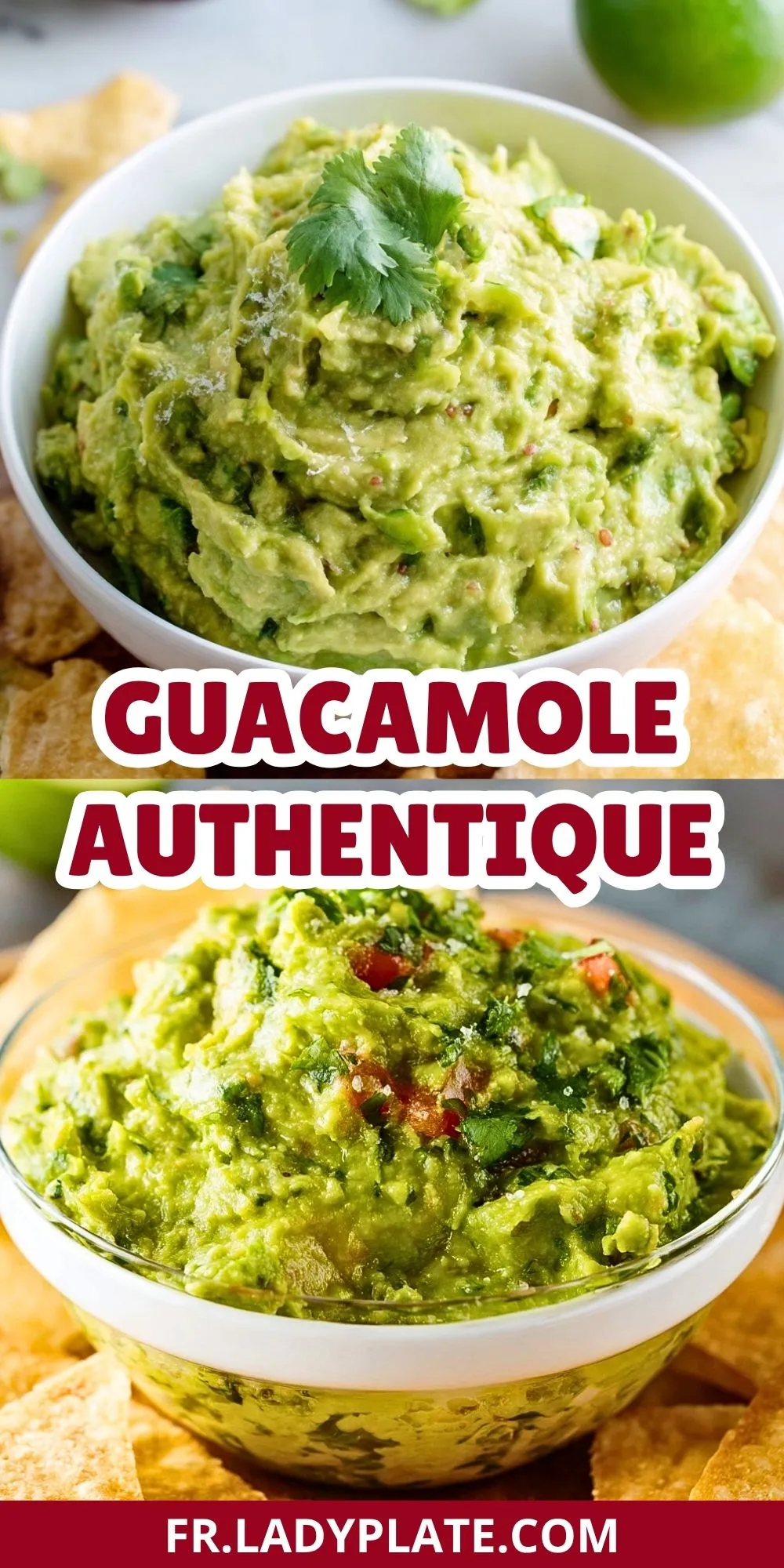 Guacamole Authentique (2)
