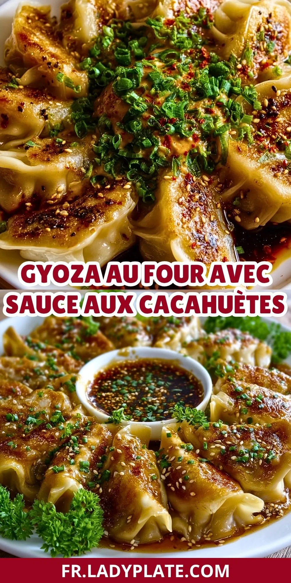 Gyoza Au Four Avec Sauce Aux Cacahuètes (2)