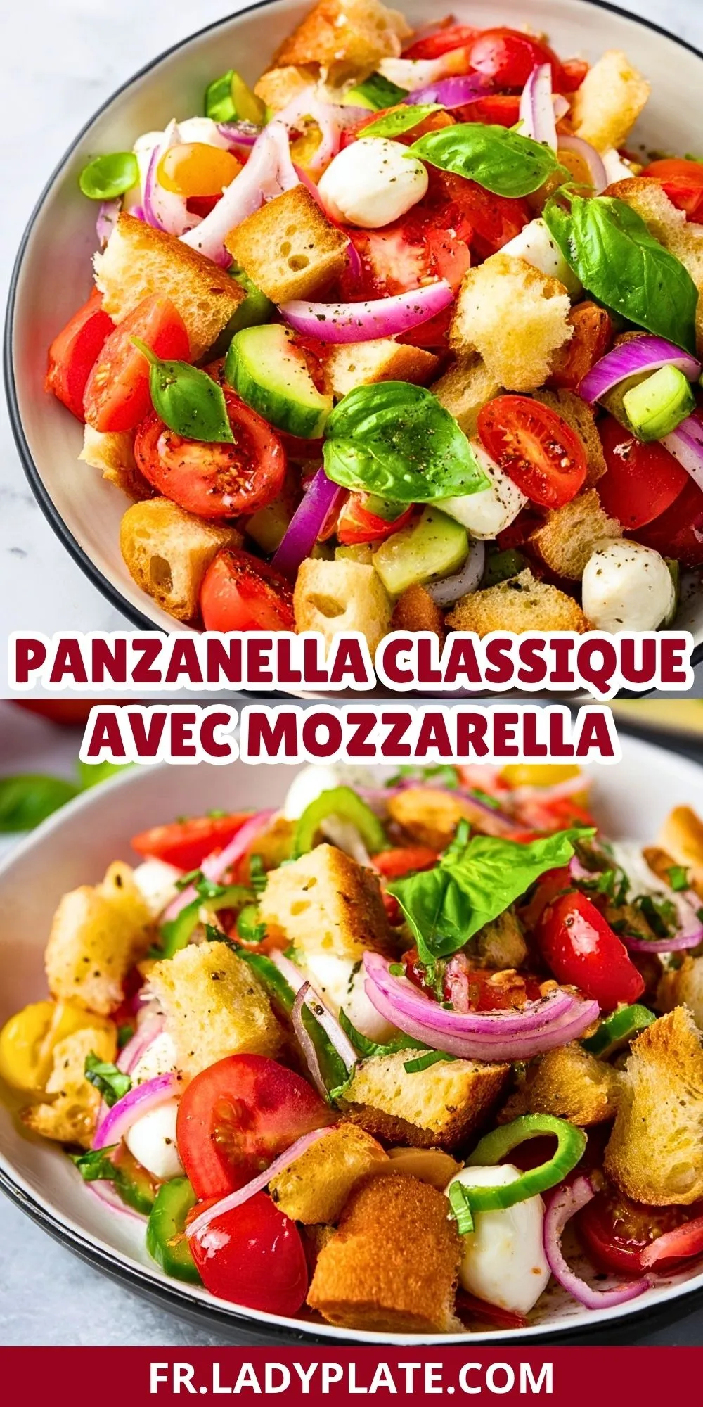 Panzanella Classique avec Mozzarella (2)