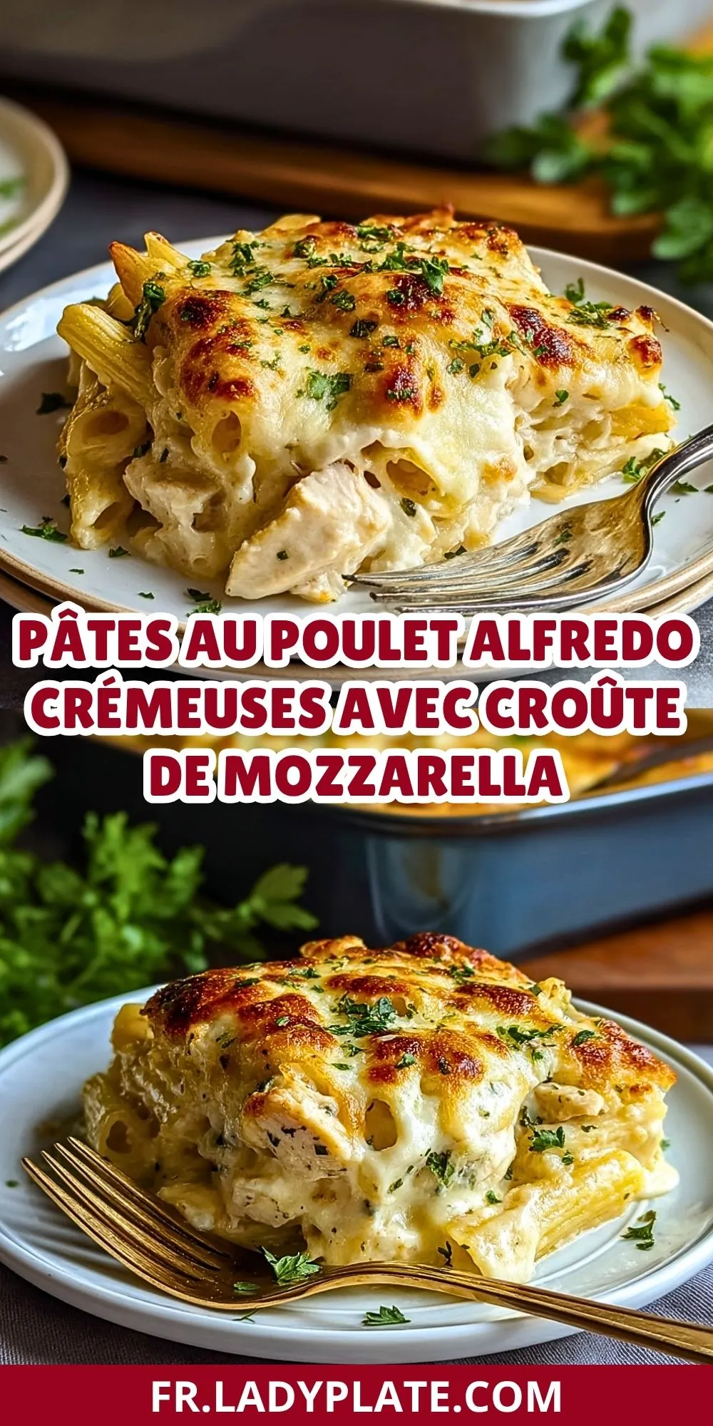 Pâtes Au Poulet Alfredo Crémeuses Avec Croûte De Mozzarella (2)