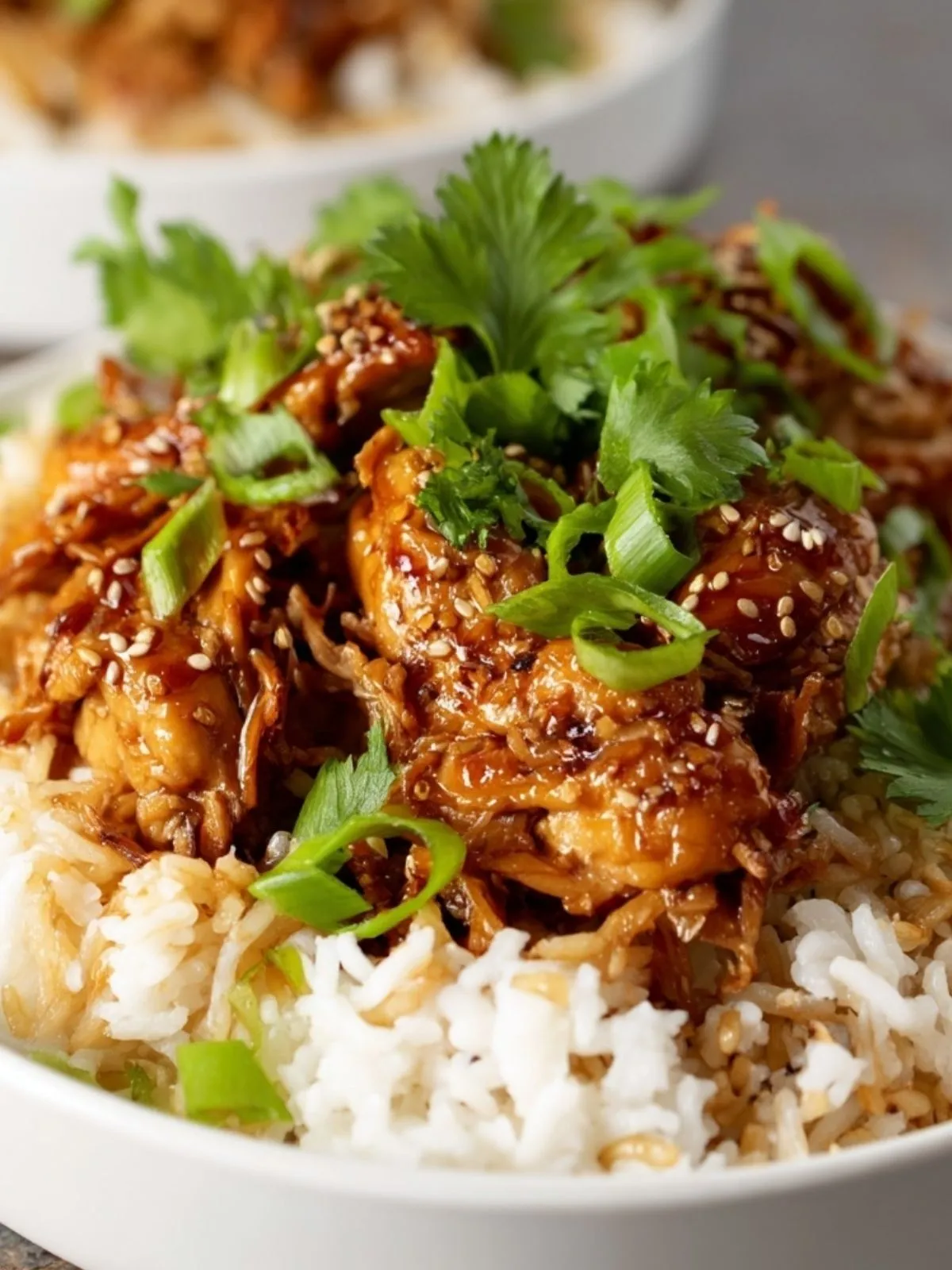 Poulet Miel Ail Avec Riz (1)