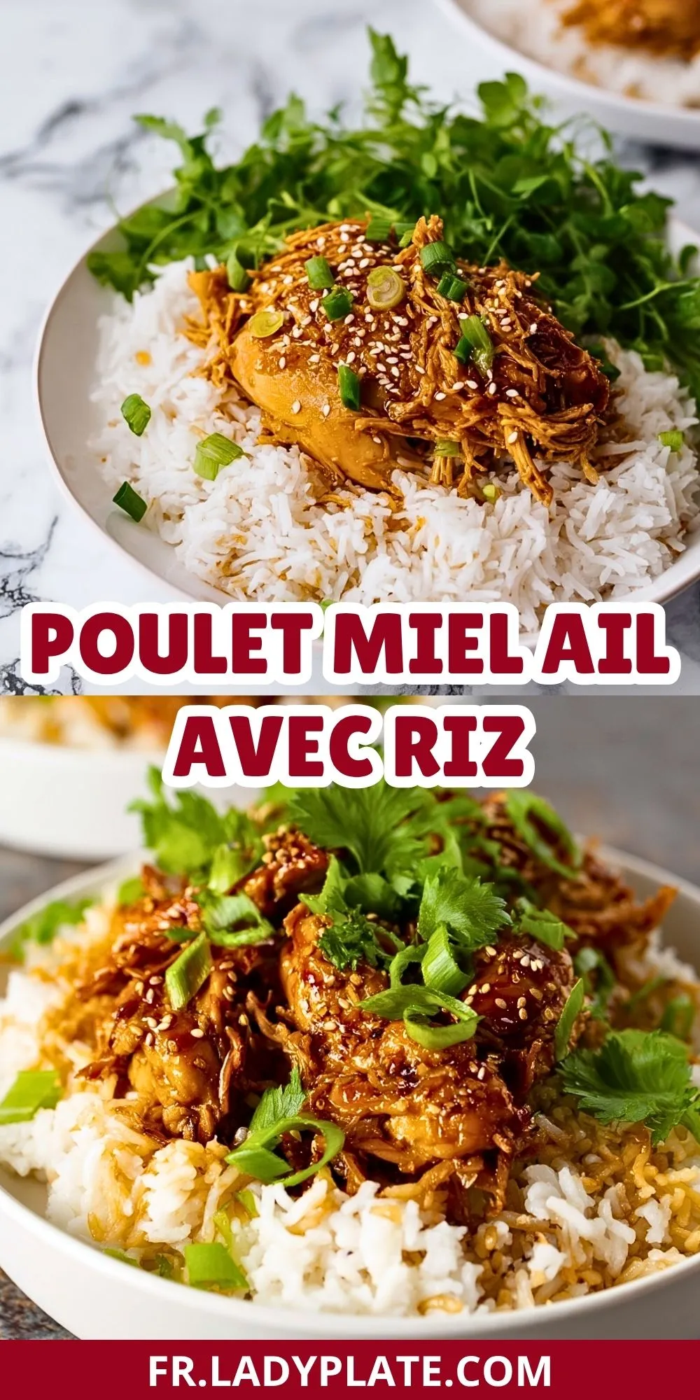 Poulet Miel Ail Avec Riz (2)
