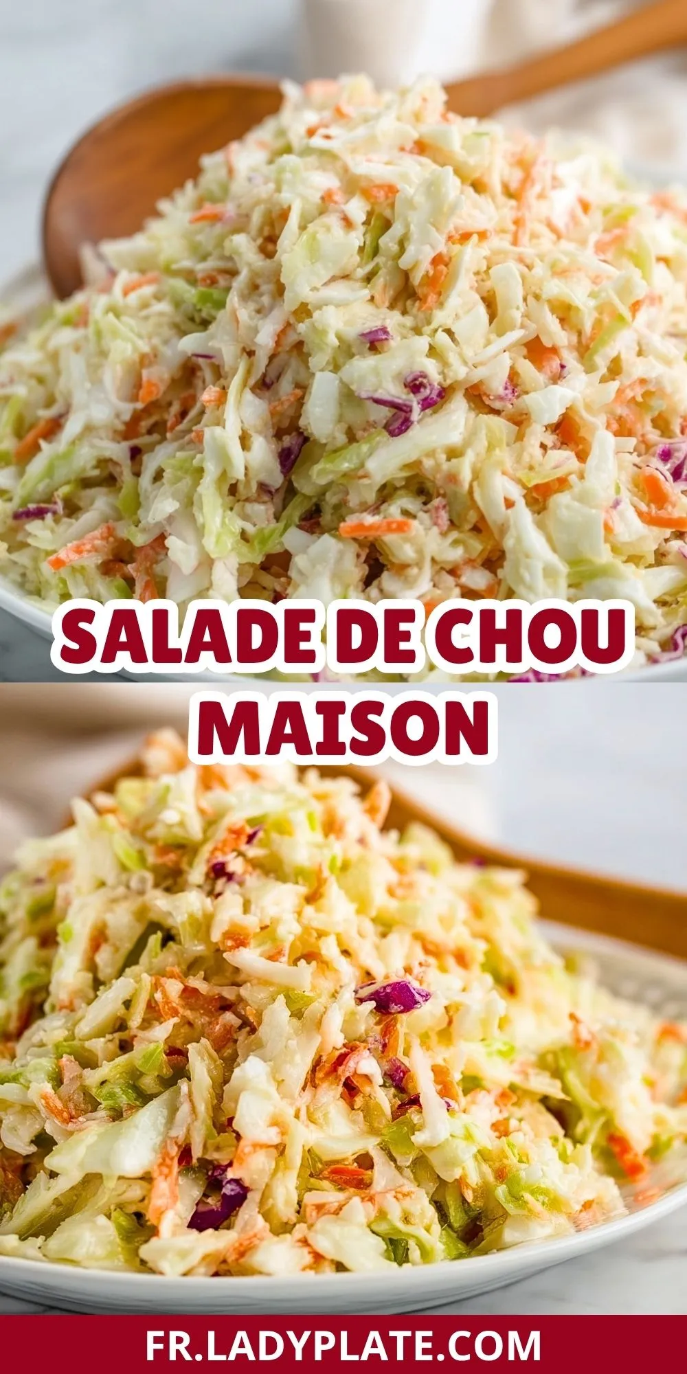 Salade De Chou Maison (2)