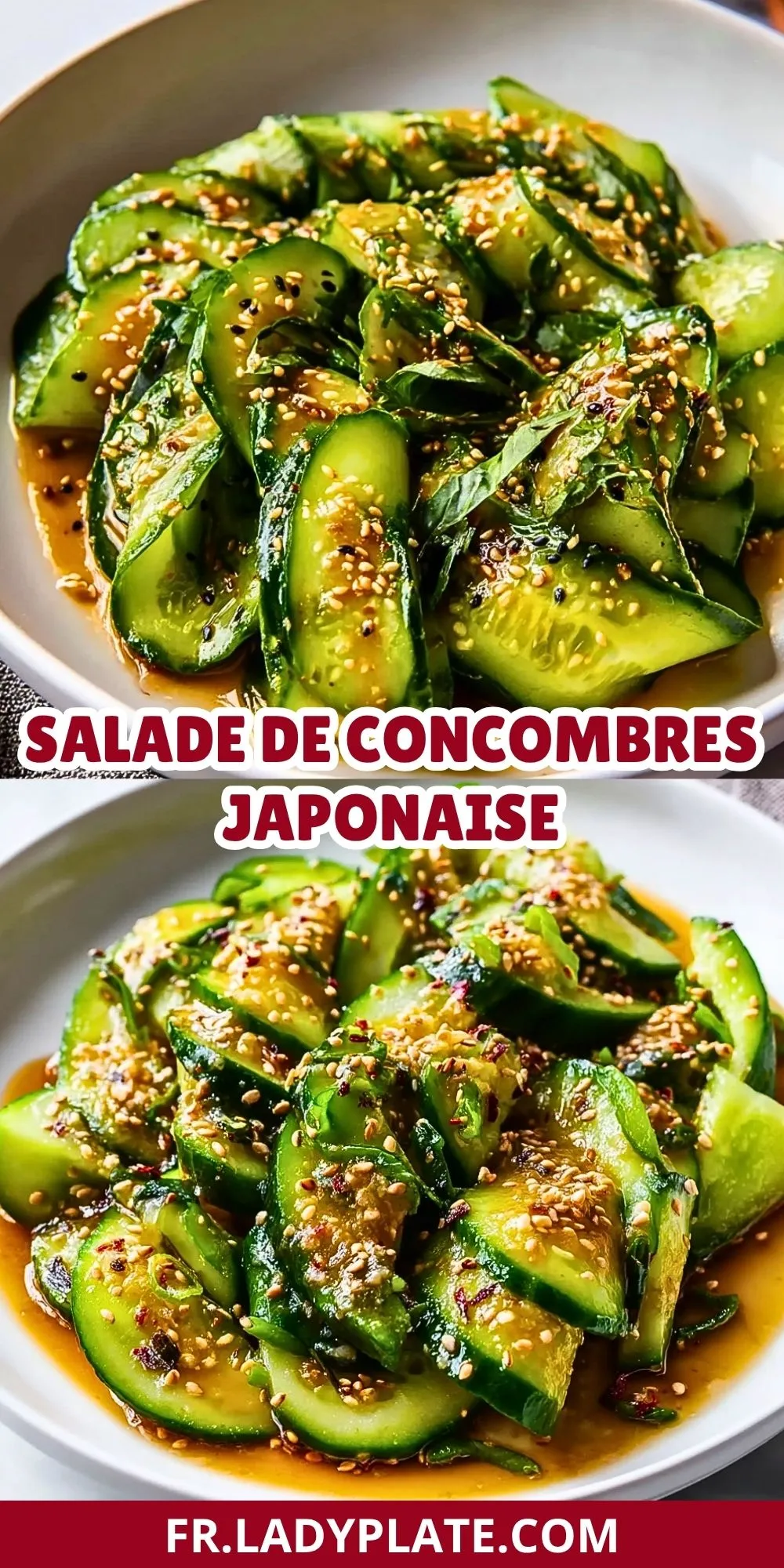 Salade De Concombres Japonaise (2)