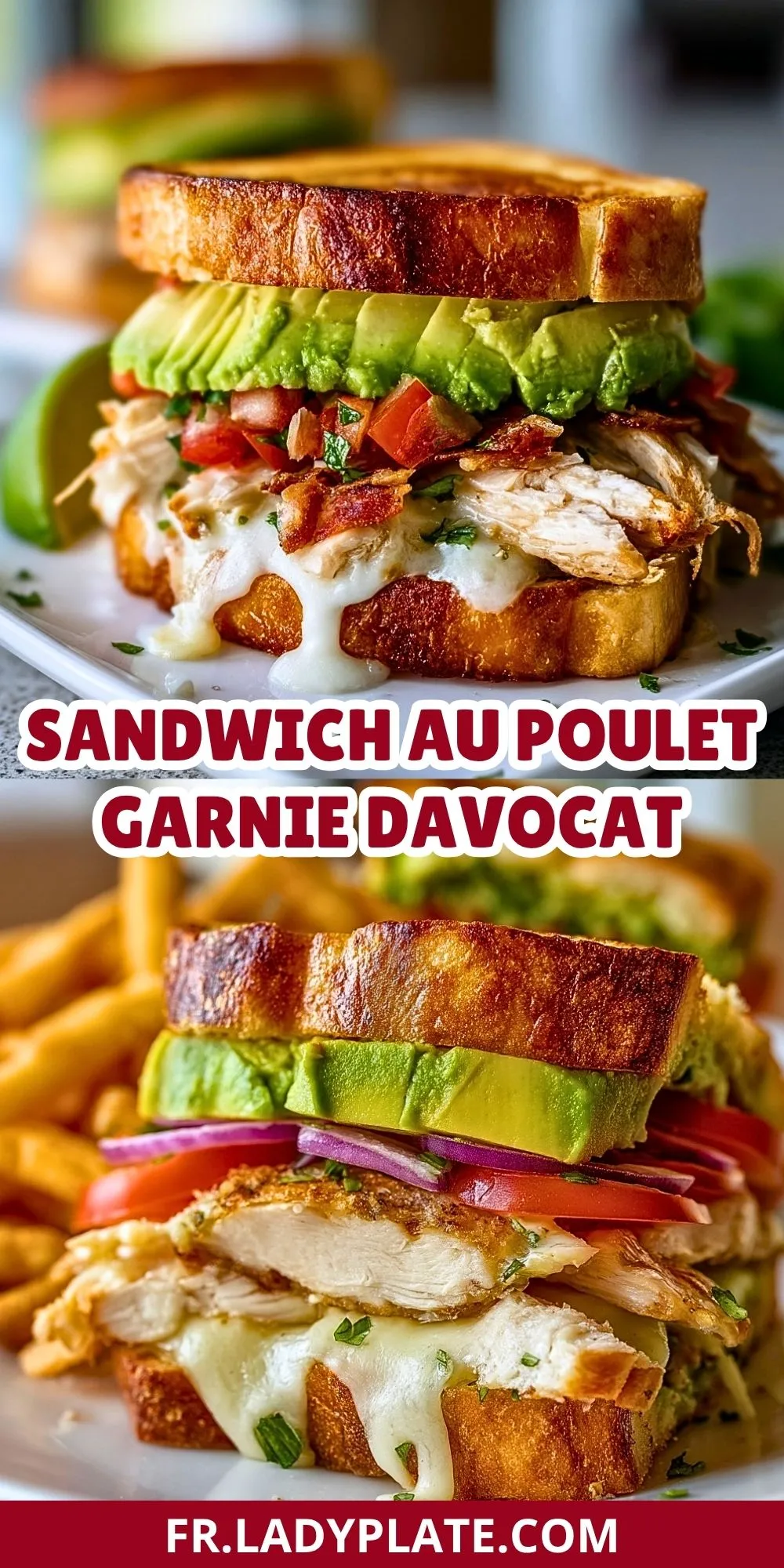 Sandwich Au Poulet Garnie DAvocat (2)