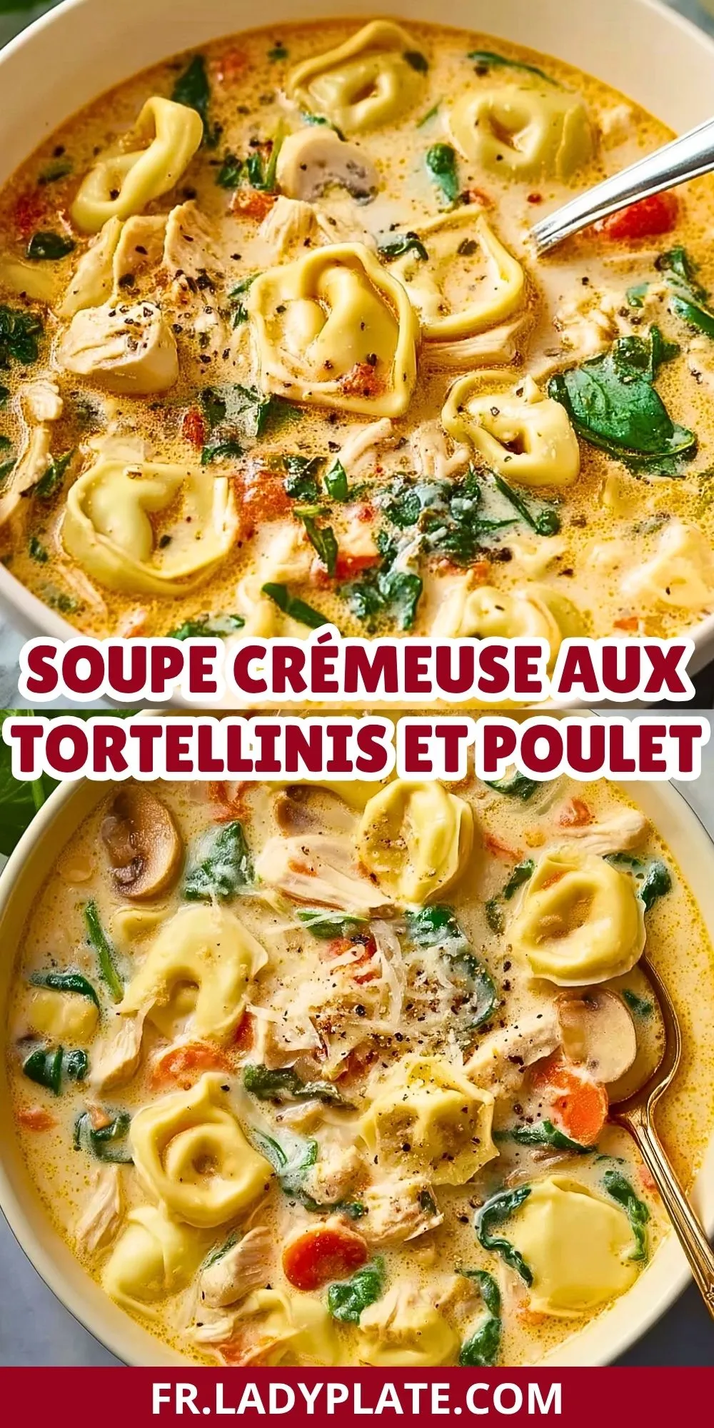 Soupe Crémeuse Aux Tortellinis Et Poulet (2)