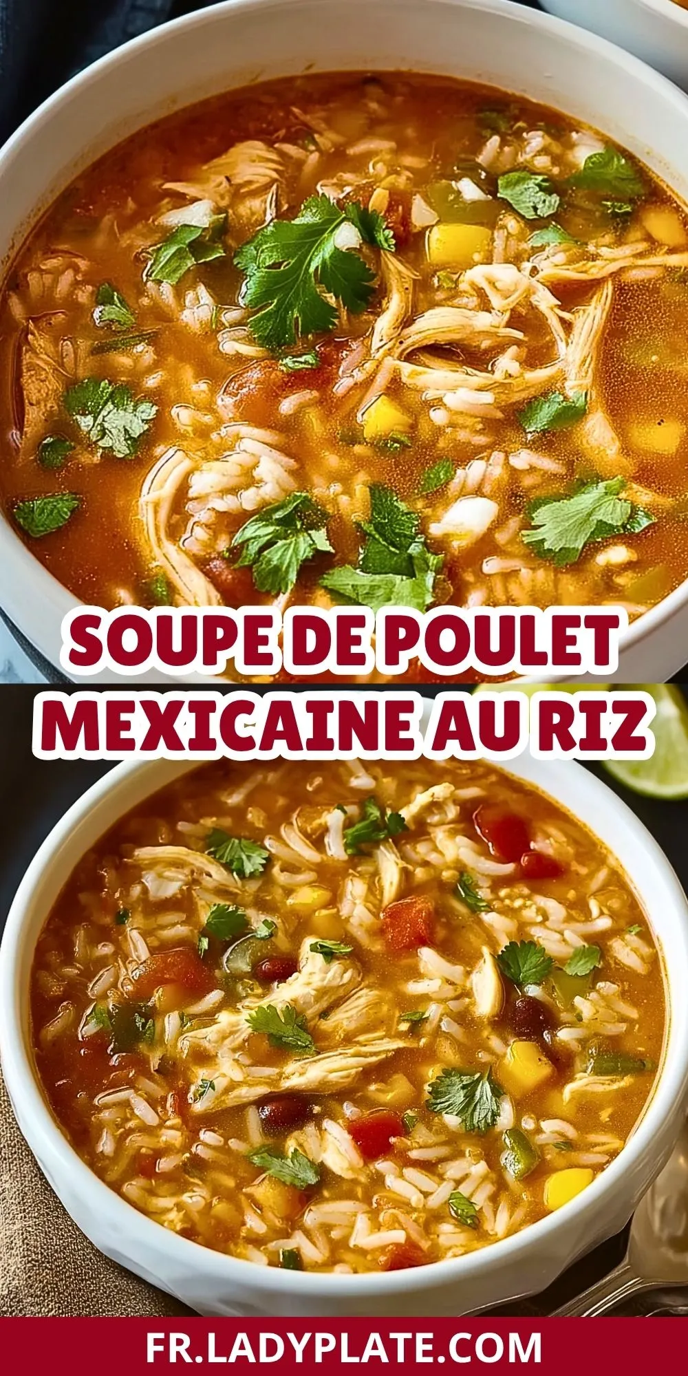 Soupe De Poulet Mexicaine Au Riz (2)