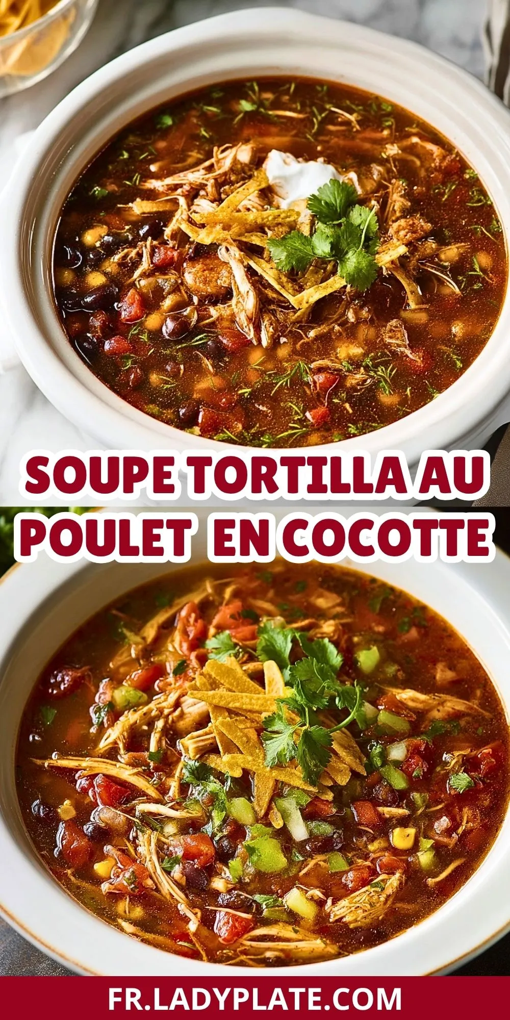 Soupe Tortilla au Poulet en Cocotte (2)