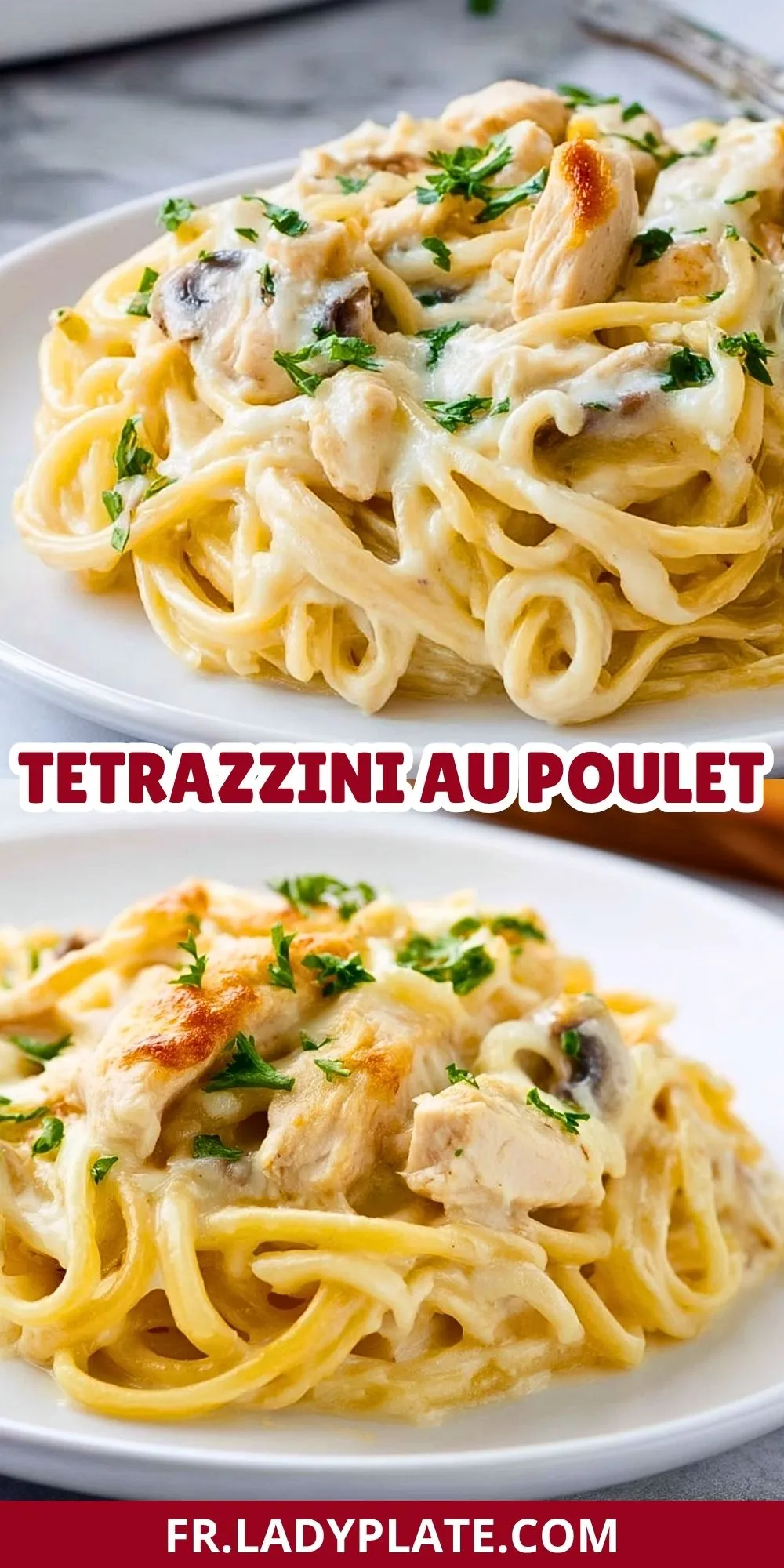 Tetrazzini au Poulet (2)