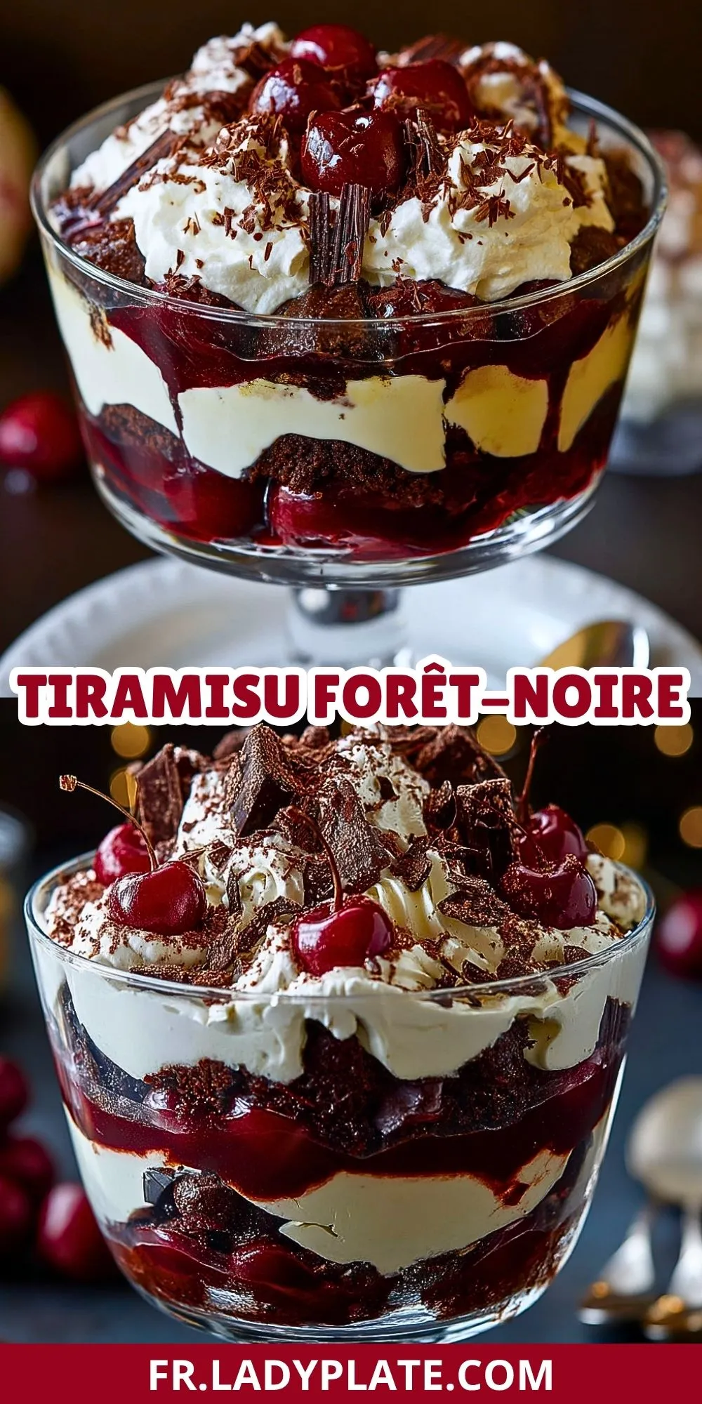 Tiramisu Forêt-Noire (2)