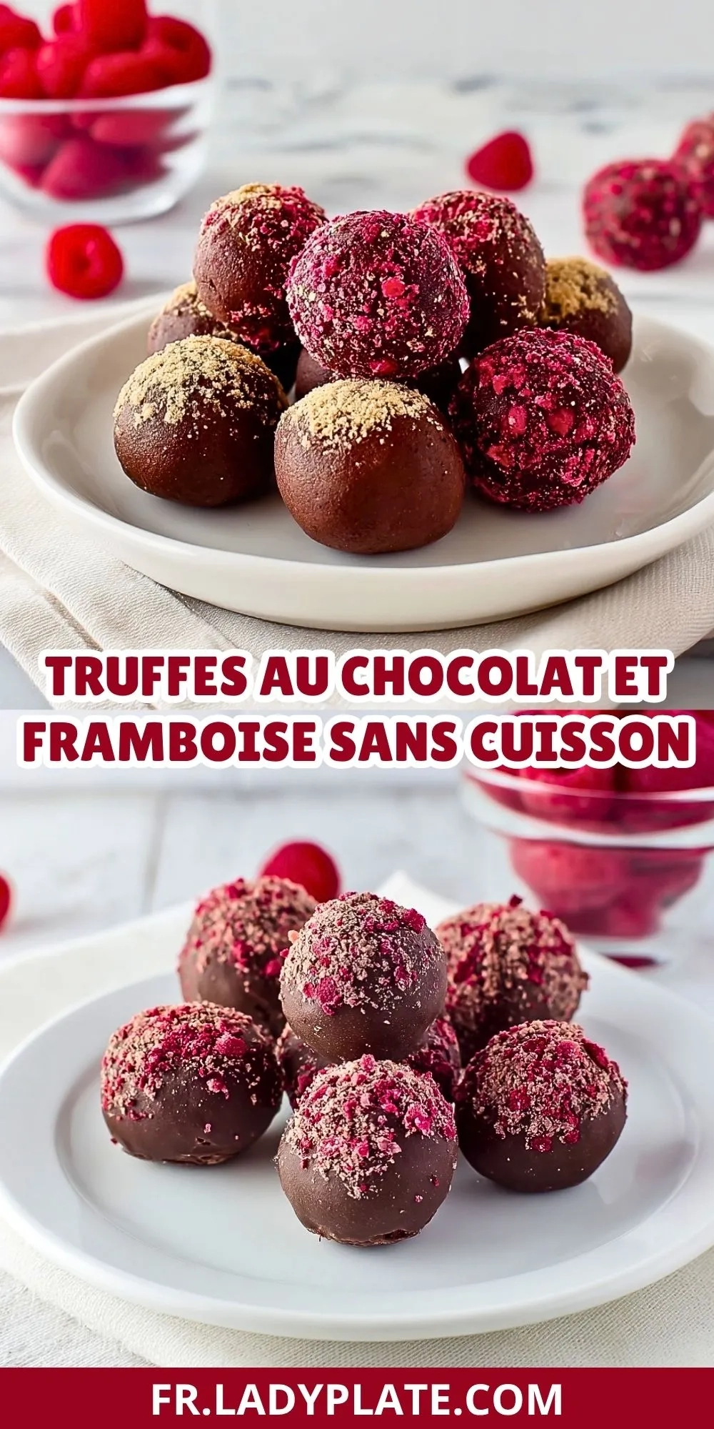 truffes-au-chocolat-et-framboise-sans-cuisson-2